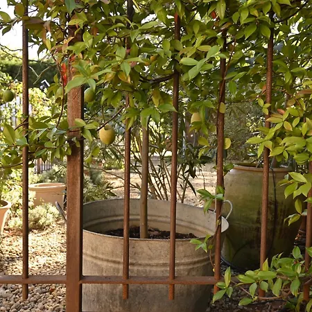 Bastide Le Petit Clos - Les 2 Semesterbostad Perpignan