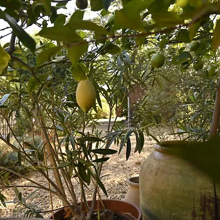 Bastide Le Petit Clos - Les 2 * Perpignan